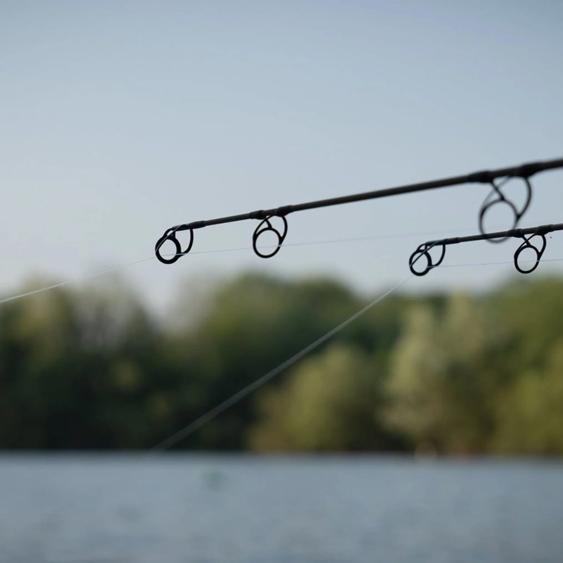Daiwa Whisker X45 Carp Rods